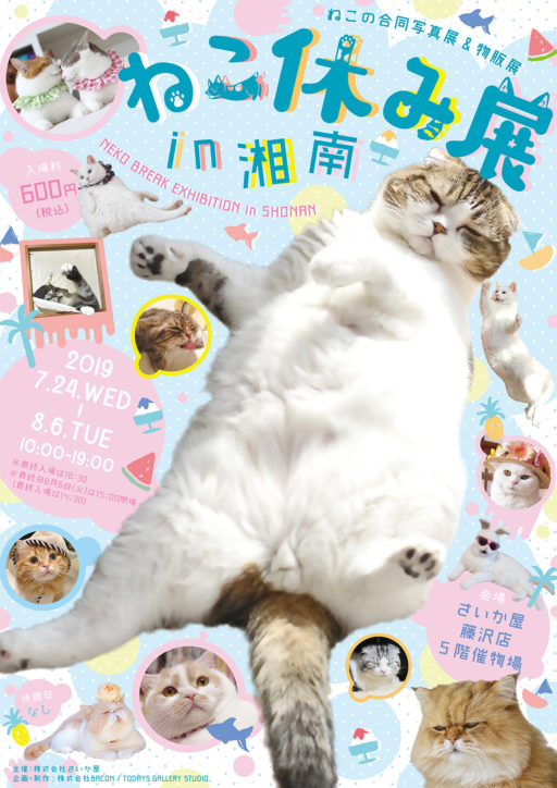 「ねこ休み展 in 湘南」人気の猫作家作品一挙展示 @さいか屋藤沢店