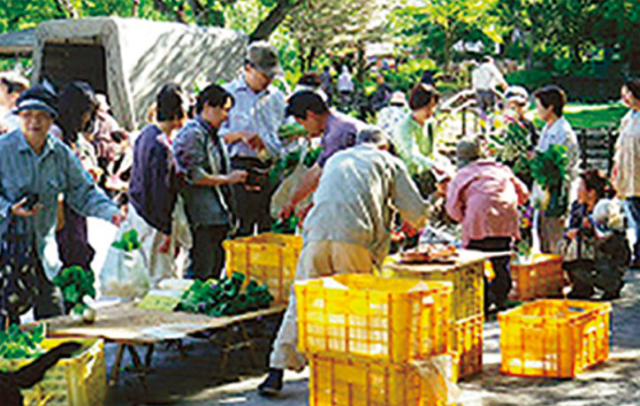 恒例「市民朝市」採れたて野菜など@保土ヶ谷公園ミニ運動広場