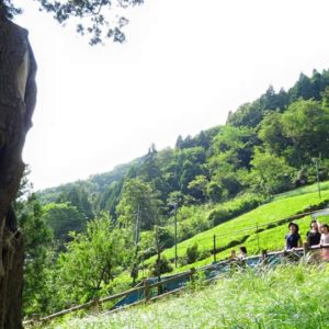 アウトドアなまち山北町！自然や人々に触れる「やまきた体験ツアー2019」で一日田舎暮らし