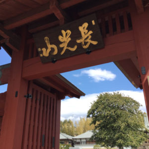 ほっと一息、心と身体を休める横浜市の妙蓮寺【動画付き】