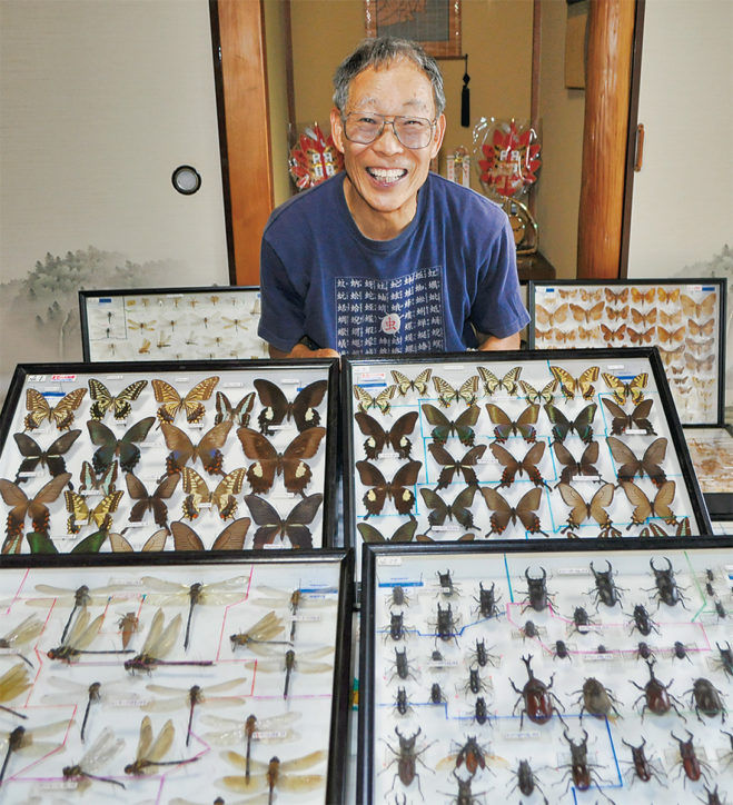 「大磯町丘陵の昆虫展」圧巻の３千種を展示！昆虫で大磯の今昔がわかる【大磯町】