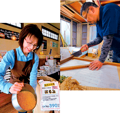 ハダ恋にぎわい商店街&観光・土産まるごと情報 ハダ恋にぎわい商店街&観光・土産まるごと情報