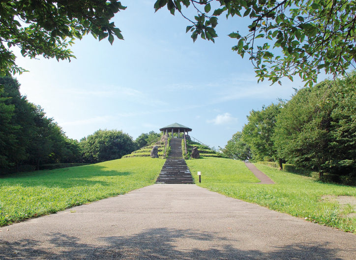 県立四季の森公園「ドングリの仲間の観察会」開催