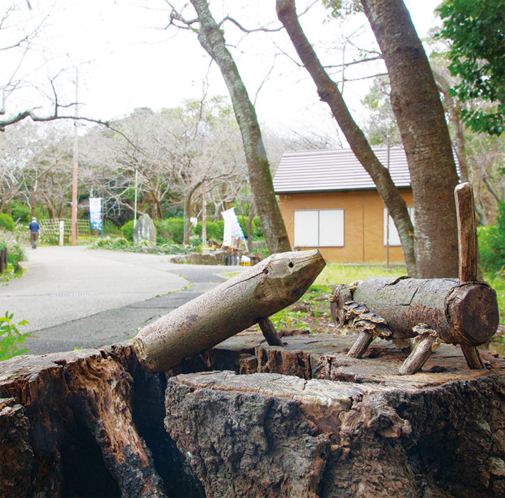 横須賀市、アートと音楽で地域振興「衣笠公園」で木のオブジェなど資源活用