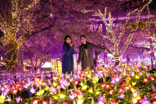 600万球 光の祭典 さがみ湖イルミリオン19 さがみ湖リゾートプレジャーフォレスト 神奈川 東京多摩のご近所情報 レアリア