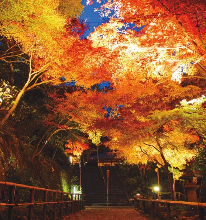 2022年・鎌倉市長谷寺で「秋の夜間特別拝観 & 空間デザインイベント」