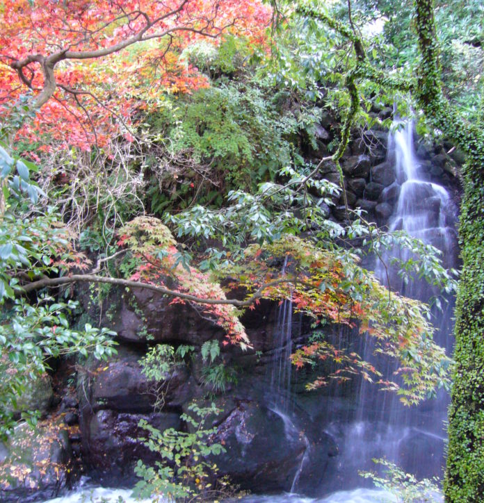 日本の歴史公園100選・湯河原町「万葉公園」に広がる滝×紅葉の世界　
