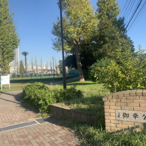 川崎の御幸公園でイチョウ並木を楽しむ　多摩川一望のスポットも