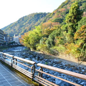 箱根「須雲川」で紅葉散策　“地球活動の遺産”残る箱根ジオパークでもあった…！