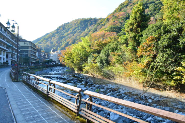 箱根「須雲川」で紅葉散策　“地球活動の遺産”残る箱根ジオパークでもあった…！