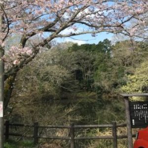 関東大震災で陥没し誕生した自然湖「震生湖を学ぼう」秦野市立南公民館で11月23日