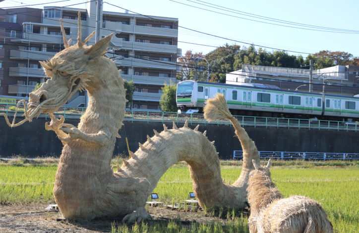 ＜超レア景色＞横浜線沿い田んぼに巨大「龍」出現！？夜はライトアップも