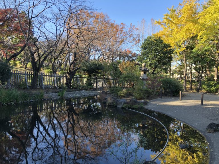 横浜・神奈川区の三ツ沢公園でスポーツと共に紅葉を楽しむ レアリア