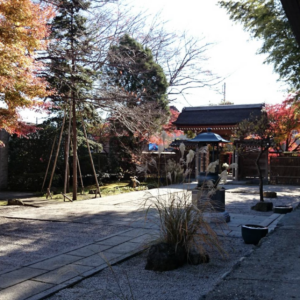 相模原市南区の常福寺で七百年の歴史と紅葉のコラボを楽しむ
