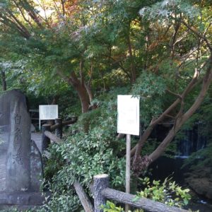 もみじと白糸の滝が楽しめる横浜・旭区の白根公園