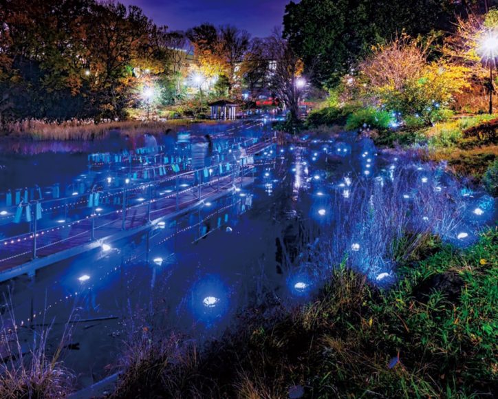 一夜限りの幻想的な世界を楽しむ「未来を照らせ～夢のカケラで光る池」青葉区もえぎ野公園