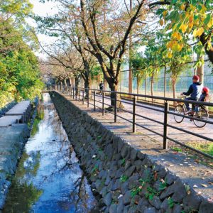 『二ヶ領用水』国の登録記念物へ　川崎市内では２件目