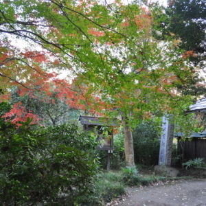 町田の里山に佇む「萬松寺」で紅葉散策　創建650年以上の歴史スポット