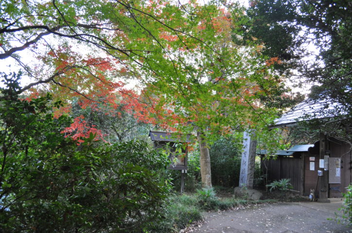 町田の里山に佇む「萬松寺」で紅葉散策　創建650年以上の歴史スポット