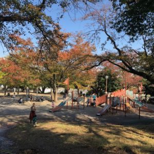 梶ヶ谷第1公園はさくらだけでなく紅葉も楽しめる【川崎市高津区】