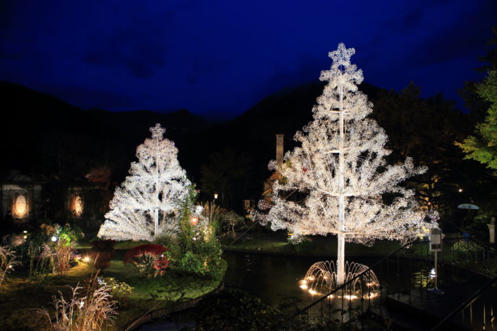 クリスタルガラス煌めくクリスマスツリー！陽光とライトアップと＠箱根ガラスの森美術館