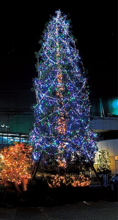 横浜・鶴見区内最大級のクリスマスツリー！今年は電球1500個増加　ビッグゴルフ滝川　