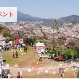 はだの桜2025イベント一覧