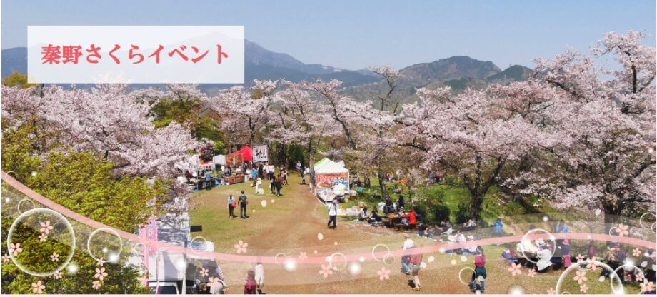 はだの桜2025イベント一覧