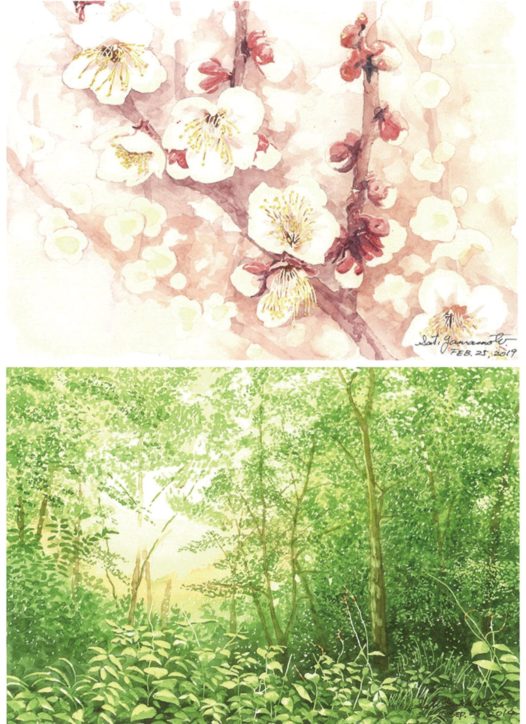 山本悟さん木もれびの森を題材に「水彩画展」新作など48点並ぶ　相模原市民ギャラリー