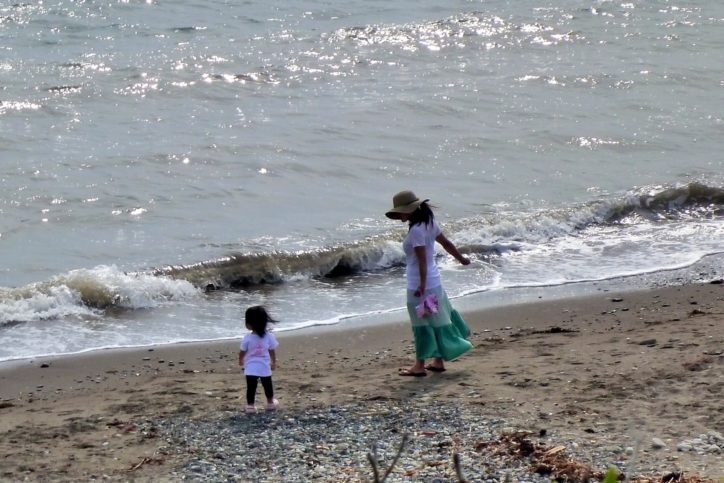 三浦の４カ所の海岸で「ビーチクリーン活動」美しい海、市民の力で