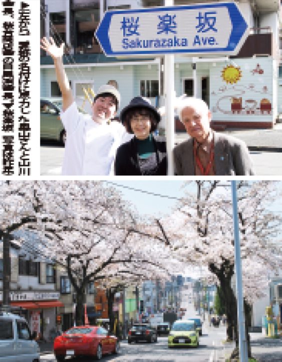 横浜市〈青葉台～桜台〉春の人気スポット、桜並木道の愛称決定「桜楽（さくら）坂」