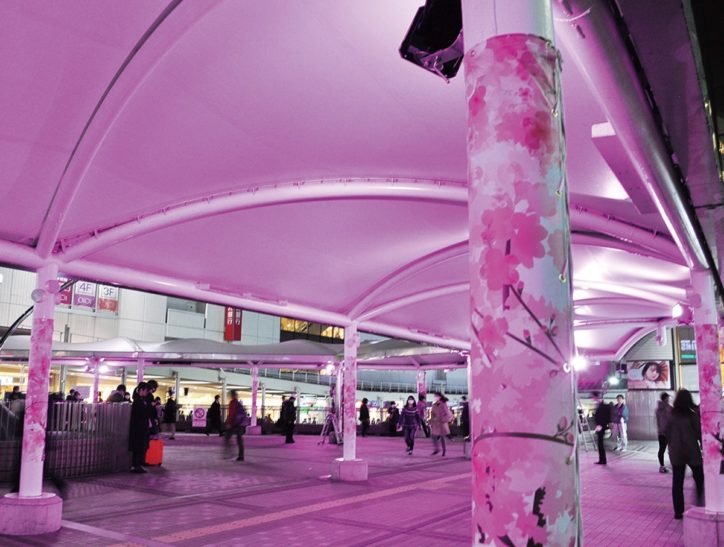 JR町田駅玄関口を明るく　桜色にライトアップされたテントや支柱が好評