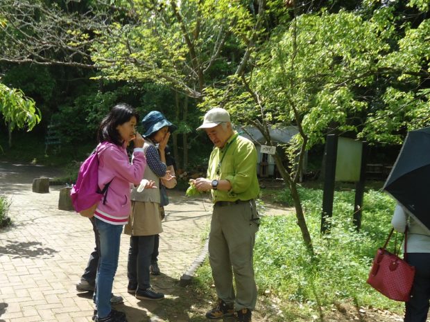 丹沢の自然の中で秦野名水さんぽ&丹沢十割そば満喫 地場野菜の買い物に温泉も 丹沢の自然の中で秦野名水さんぽ&丹沢十割そば満喫 地場野菜の買い物に温泉も