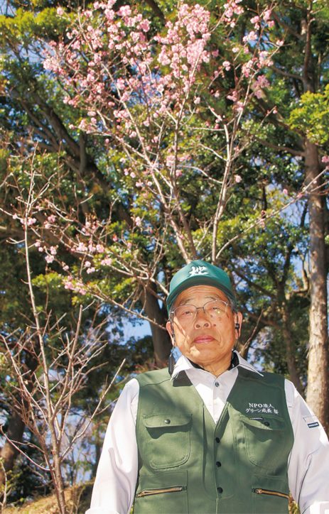 厚木・鳶尾山に桜2000本「ＮＰＯ法人グリーン成長 桜」が16年前から植樹活動