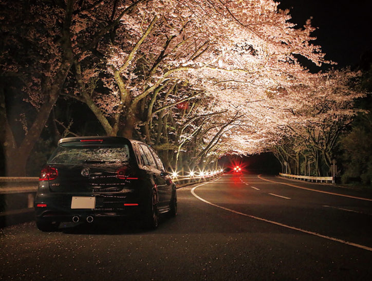 ドライブにおススメ ターンパイク箱根 桜のトンネルを駆け抜ける感動 夜桜ライトアップも 神奈川 東京多摩のご近所情報 レアリア