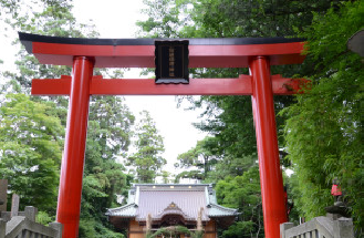 秦野の名水満喫ツアー!試飲付き酒蔵見学や昼食は名水手打ちうどん、ブルーベリー摘み取りも 秦野の名水満喫ツアー!試飲付き酒蔵見学や昼食は名水手打ちうどん、ブルーベリー摘み取りも