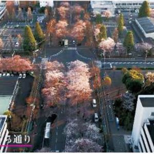 「四季の空中散歩ー春ー」相模原市中央区内の空撮動画を公開