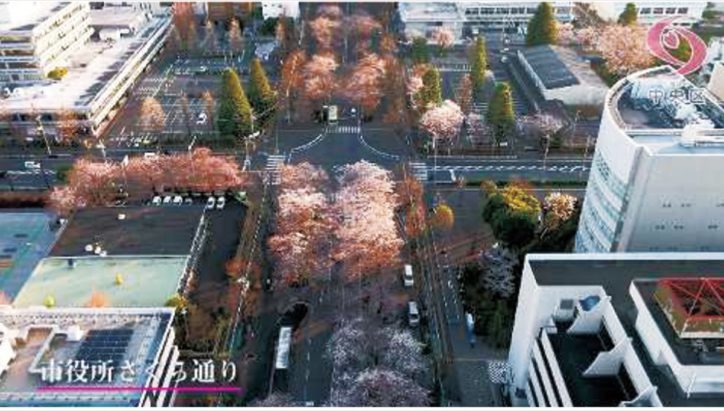 「四季の空中散歩ー春ー」相模原市中央区内の空撮動画を公開