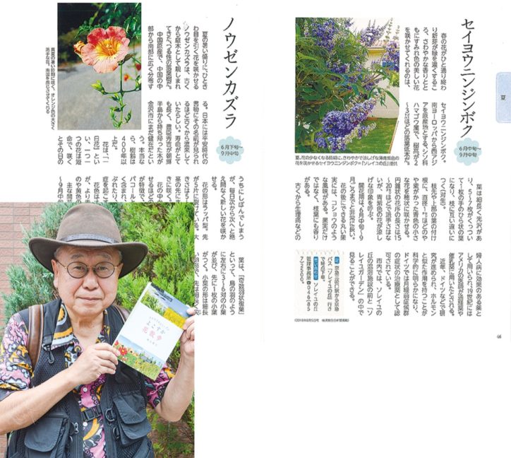三浦半島花との出会い　名所まとめた「でかけてみよう！ よこすか花散歩」出版