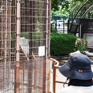 〈やっと会えたね〉平塚市総合公園内「ふれあい動物園」2か月ぶりの再開