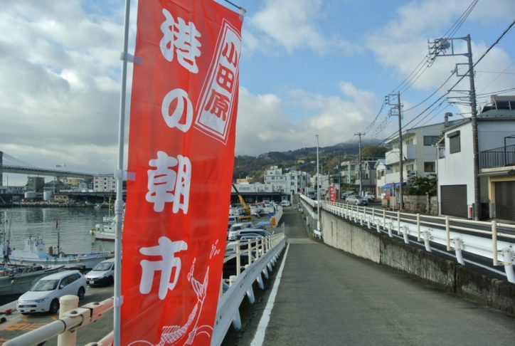 小田原漁港「港の朝市」通常再開へ！感染予防徹底で７月25日から実施
