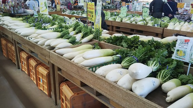 <紅葉の秦野日帰りツアー>名水のまち巡りに森林浴!落花生菓子の試食にセラピー弁当も <紅葉の秦野日帰りツアー>名水のまち巡りに森林浴!落花生菓子の試食にセラピー弁当も
