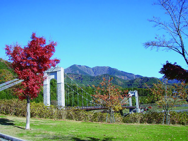 らくらく「水無川ウォーク」（2時間5分）：秦野丹沢ハイキング