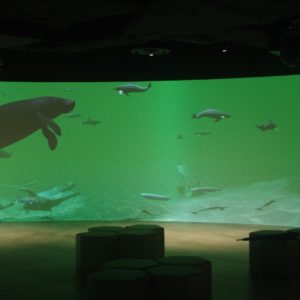 【内覧レポ】川崎市内初の水族館！「カワスイ 川崎水族館」2020年7月17日（金）開業