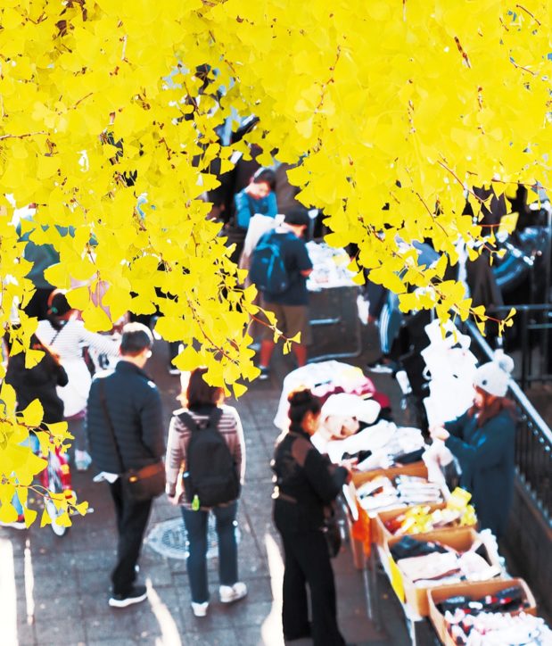 「2020年いちょう祭り」大幅変更して実施！史跡巡り歩く催しに【八王子市】