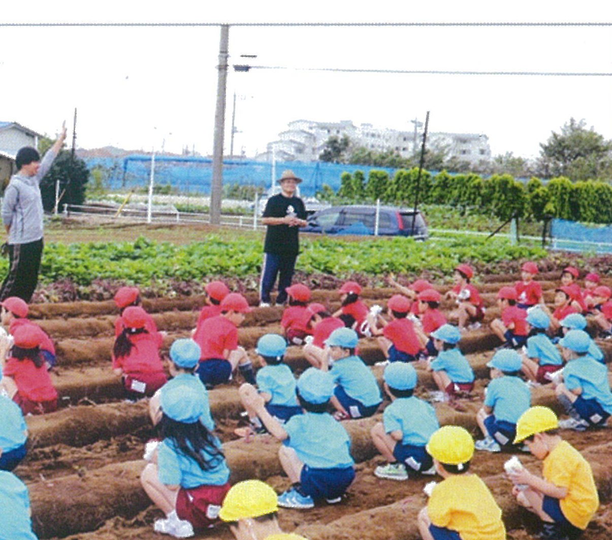 ひまわり幼稚園/みもこころも、しせいただしく【横浜市戸塚区】 ひまわり幼稚園/みもこころも、しせいただしく【横浜市戸塚区】