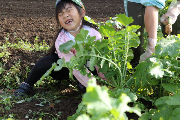 しらぎく幼稚園/ひろびろ環境 のびのび個性【横浜市戸塚区】 しらぎく幼稚園/ひろびろ環境 のびのび個性【横浜市戸塚区】