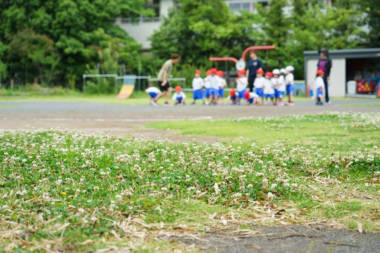 秋葉幼稚園 あかるい なかよし たのしい が合言葉 横浜市戸塚区 レアリア