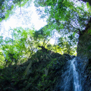 ＜全5コース紹介＞表丹沢を散策しながら森林浴できる“セラピーロード”誕生！見所やアクセスは？