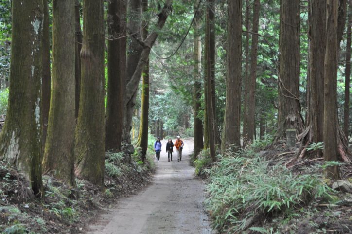 表丹沢で“働き女子”が森林セラピー体験してきた！心とからだ目覚める秦野山旅へ